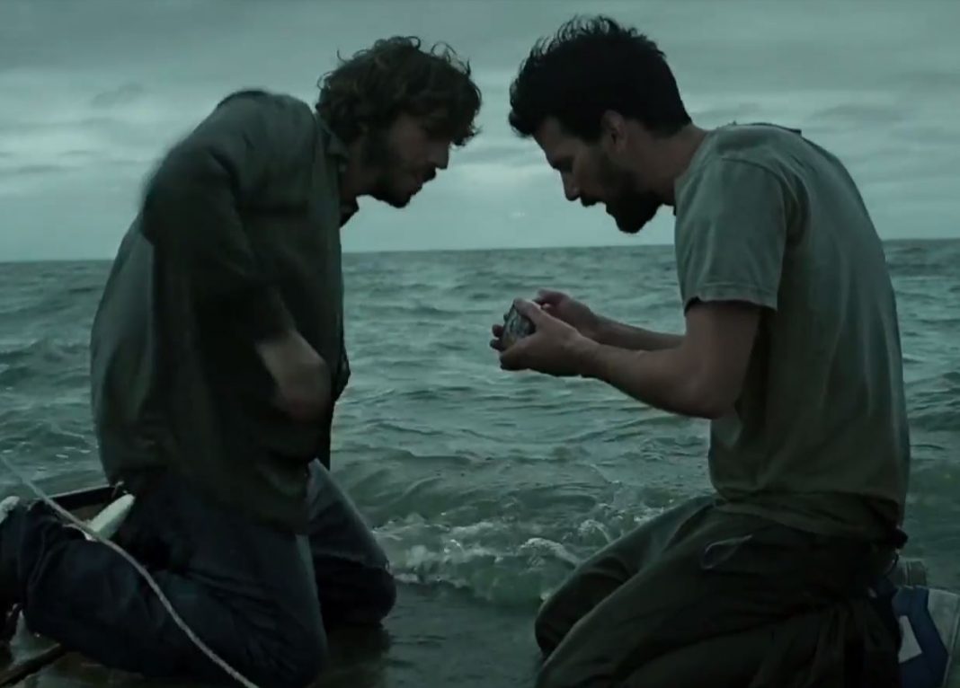 VIDEO – ¿La humanidad se está haciendo más idiota?