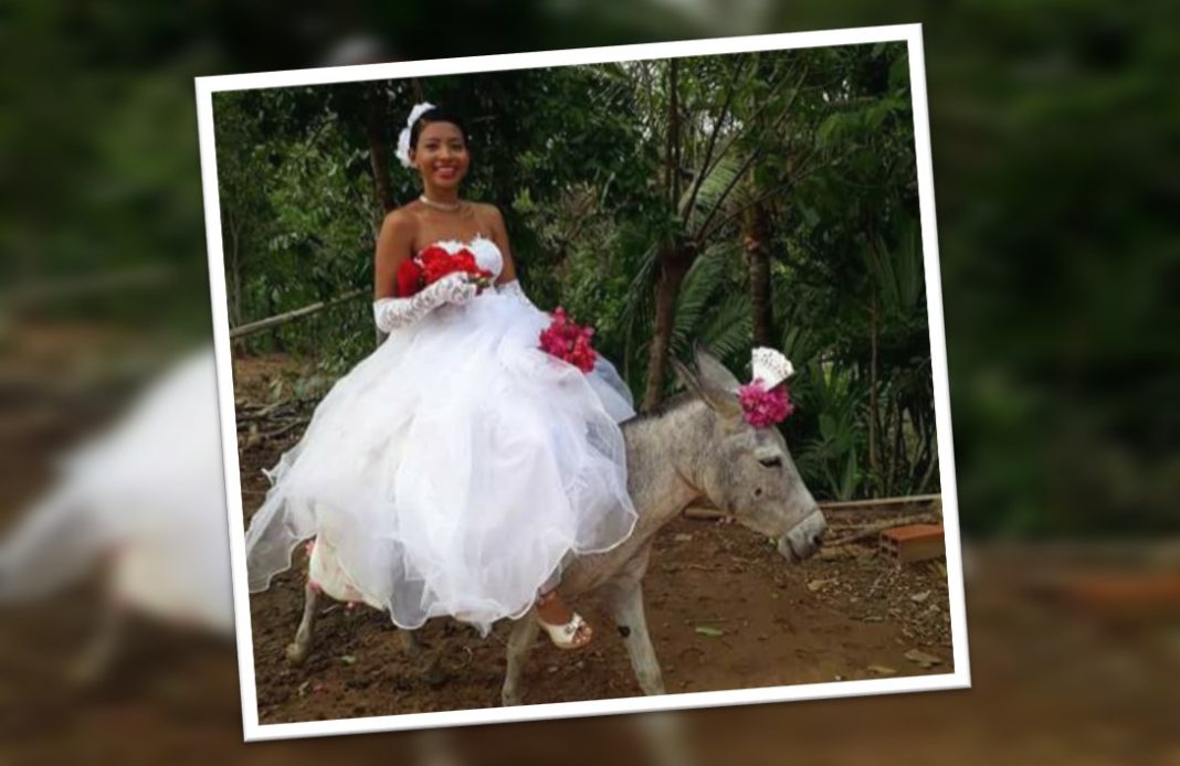 Hermosa novia llega a su boda en burrito ¡Y las redes la adoran!