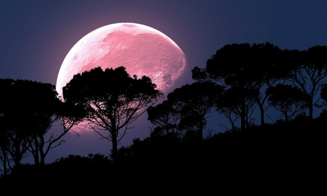 Luna Rosa, ¿Cuándo verla y por qué está así?