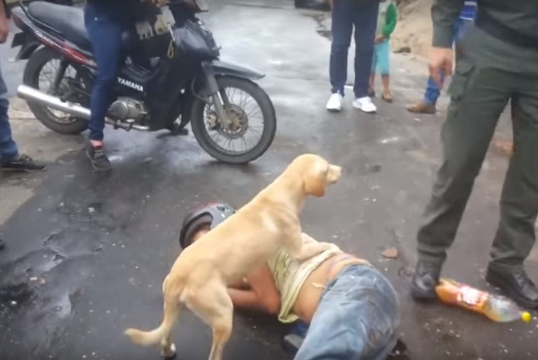 No le importa que su amo sea un borrachín, lo defiende a «capa y espada»