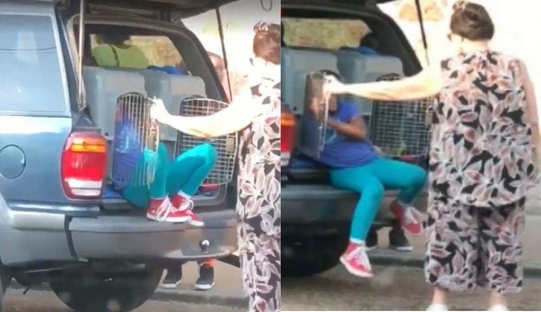 Arrestan a abuela por llevar a sus nietos en jaulas de perros para ir al super