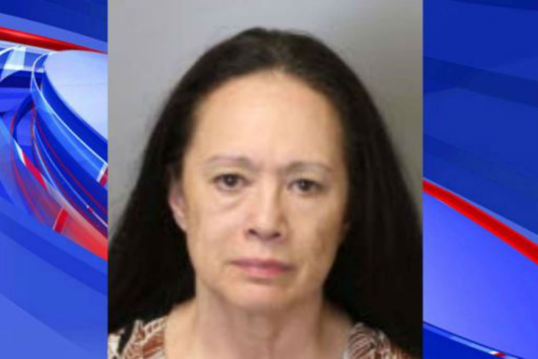 VIDEO: Abuela fue detenida luego de transportar a sus nietos en jaulas para perros