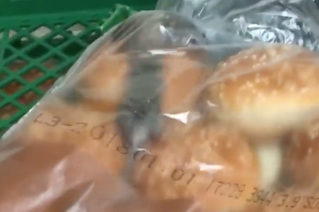 VIDEO: Dos ratones corretean entre panes de hamburguesa en un Burger King en EE.UU.