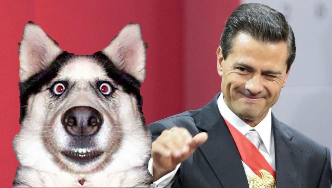 Dice EPN que «el caliento» global es uno de los mayores problemas ….¿del mundo mundial?