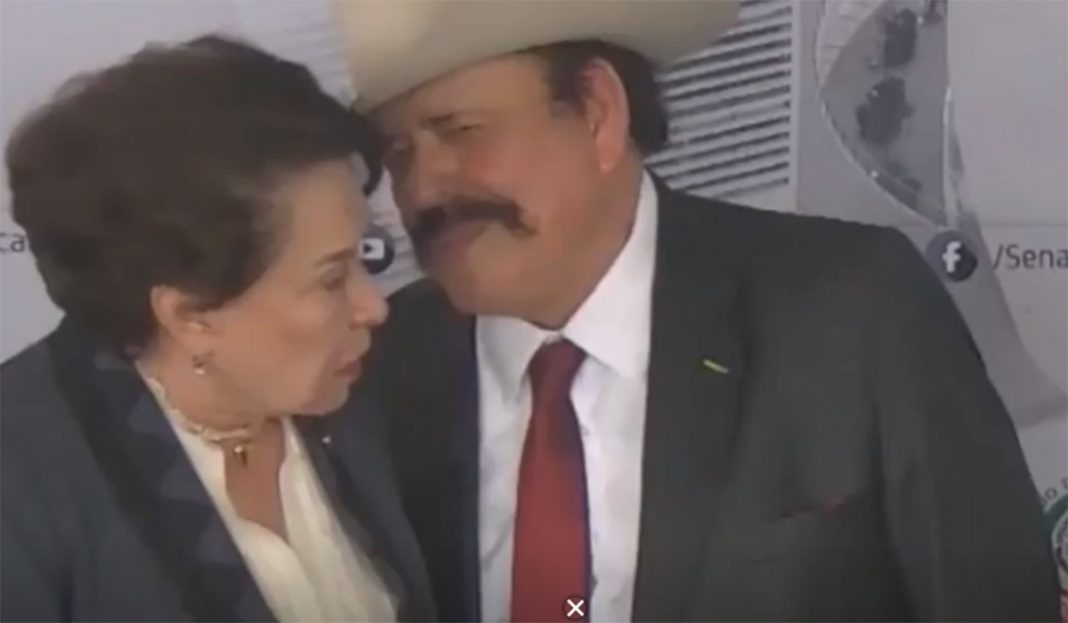 Senadora de MORENA llama «retrasados mentales» a periodistas ¡En el Día mundial del síndrome de Down!