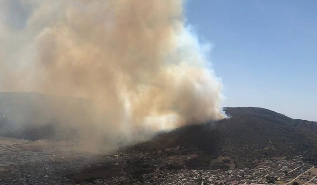 Afectadas mil 900 hectáreas por incendio en La Primavera