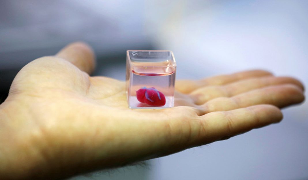 ¡IMPRESIONANTE! Científicos imprimen el primer corazón 3D del mundo (FOTOS)