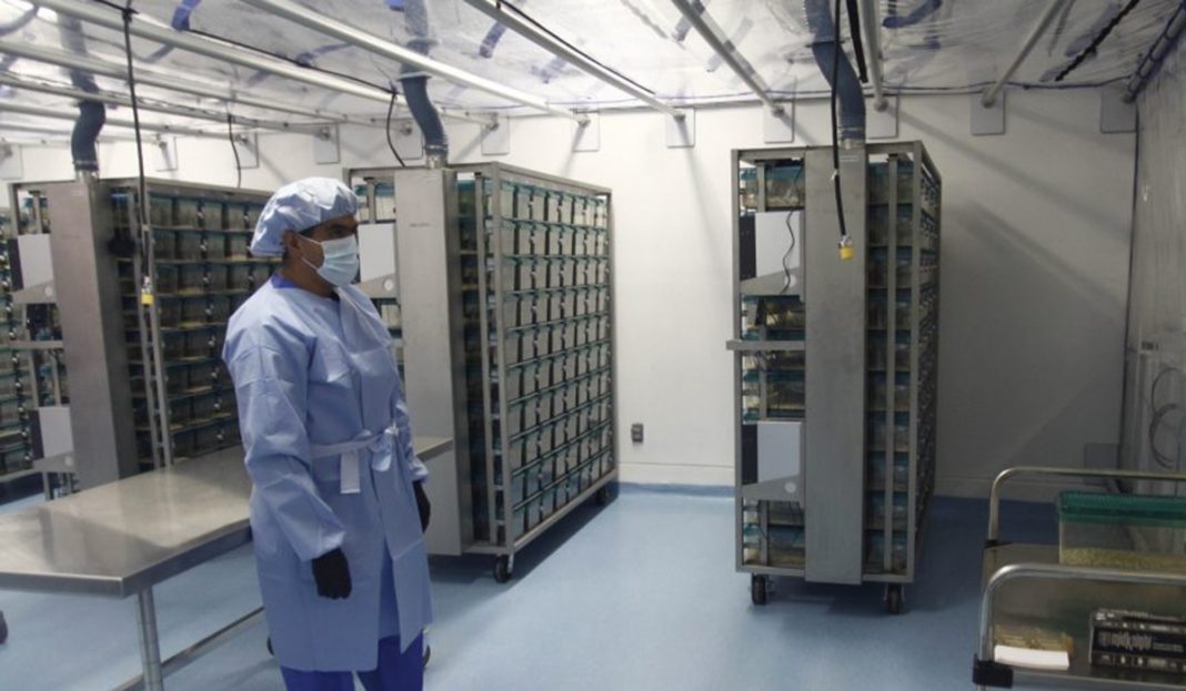 Científicos tendrán que pedir permiso a AMLO para viajar al extranjero