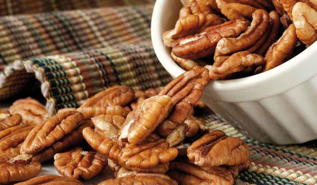 México lidera producción de nuez pecana en el mundo