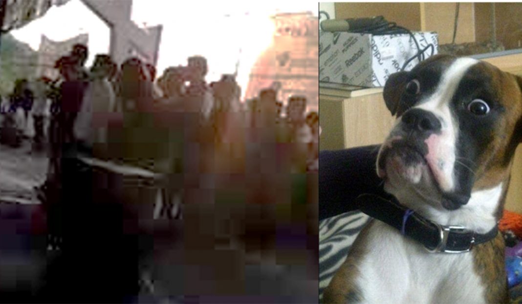 «Bandera de México, que estás en el cielo» ¡Epic fail! de chamaco en la escuela