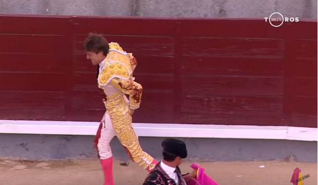 Toro le da tremenda cogida y le mete el pitón en el recto