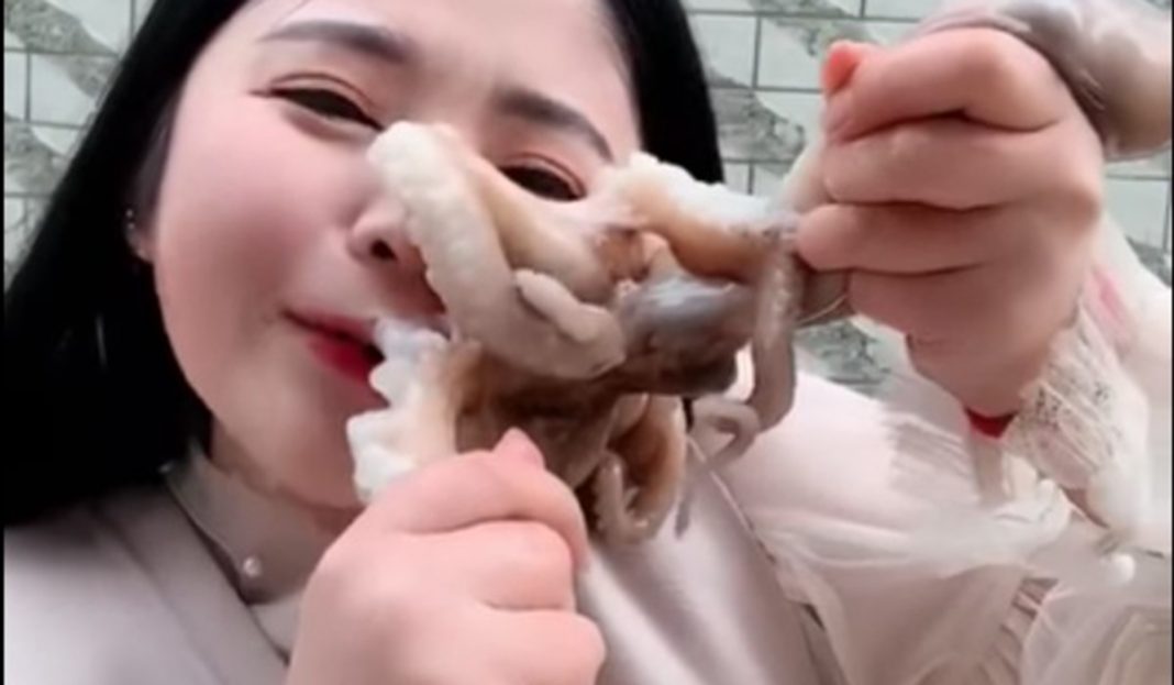 Youtuber intenta comerse un pulpo vivo y esto fue lo que pasó (VIDEO)