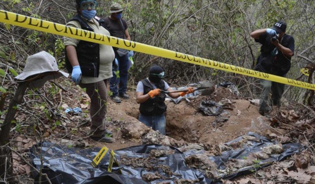 Los ambientalistas asesinados en el gobierno de AMLO