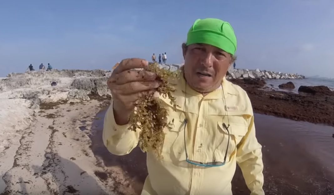 Pescador responde a AMLO sobre el sargazo ¡contundente!