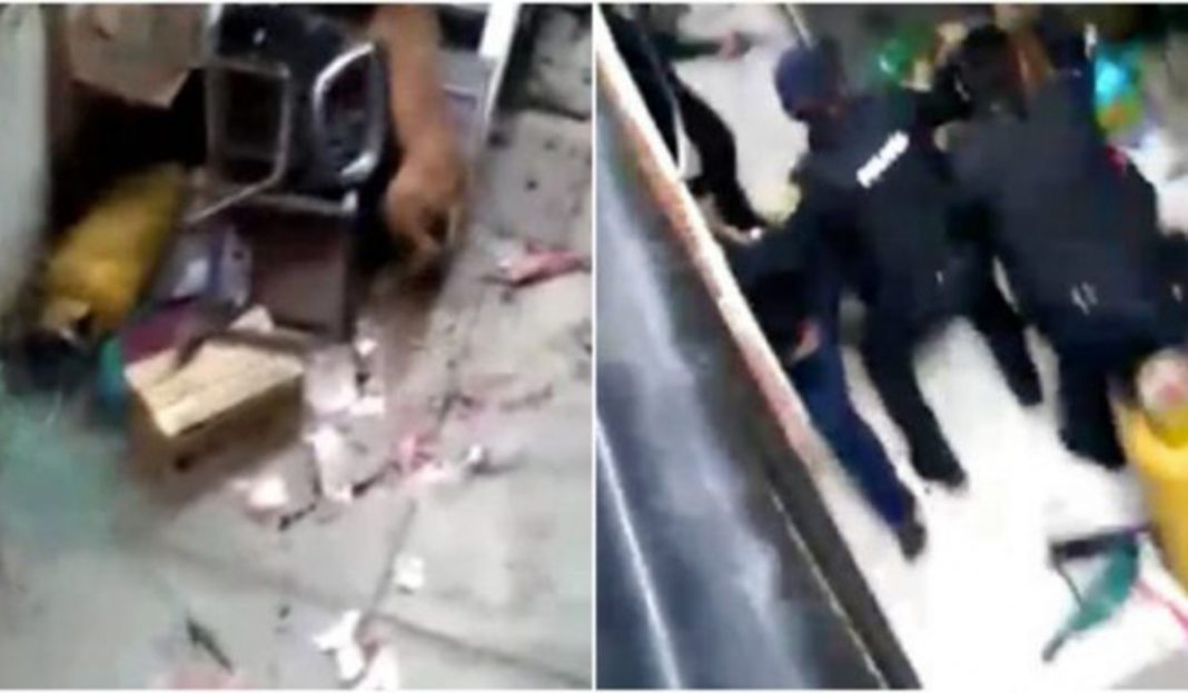 Policías irrumpen en vecindad y matan brutalmente a perro durante operativo (IMÁGENES FUERTES)