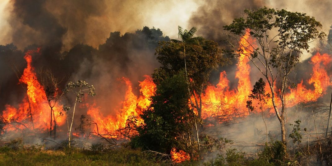 Lo que se sabe de cómo se originaron los incendios en el Amazonas
