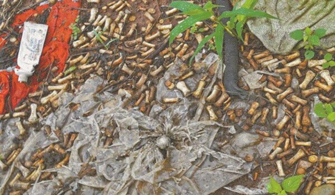 Hallan más de 2 mil fragmentos humanos en predio de Sinaloa