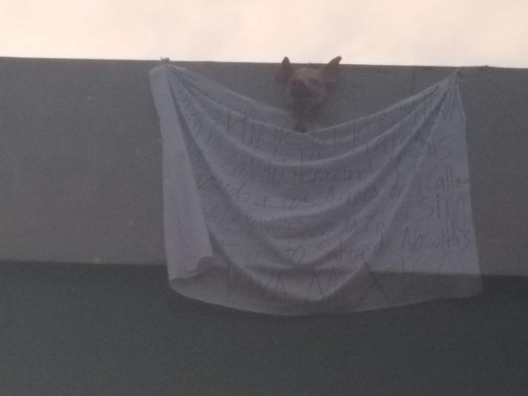 Dejan manta con cabeza de puerco en Iztapalapa como amenaza para la Policía de la CDMX