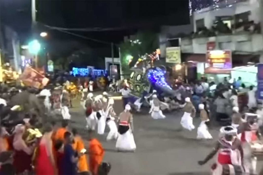 Elefante se sale de control durante procesión budista y lesiona a 18 personas