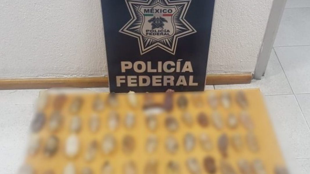 Encuentran 67 paquetes de cocaína en drenaje del Aeropuerto de la CDMX