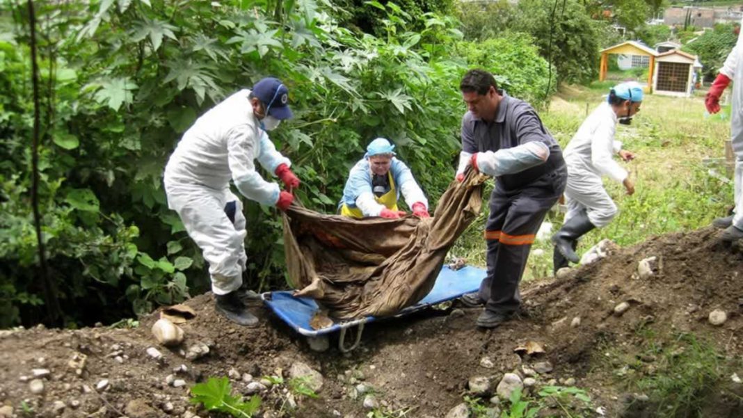 Halladas 594 fosas clandestinas en esta administración: Encinas