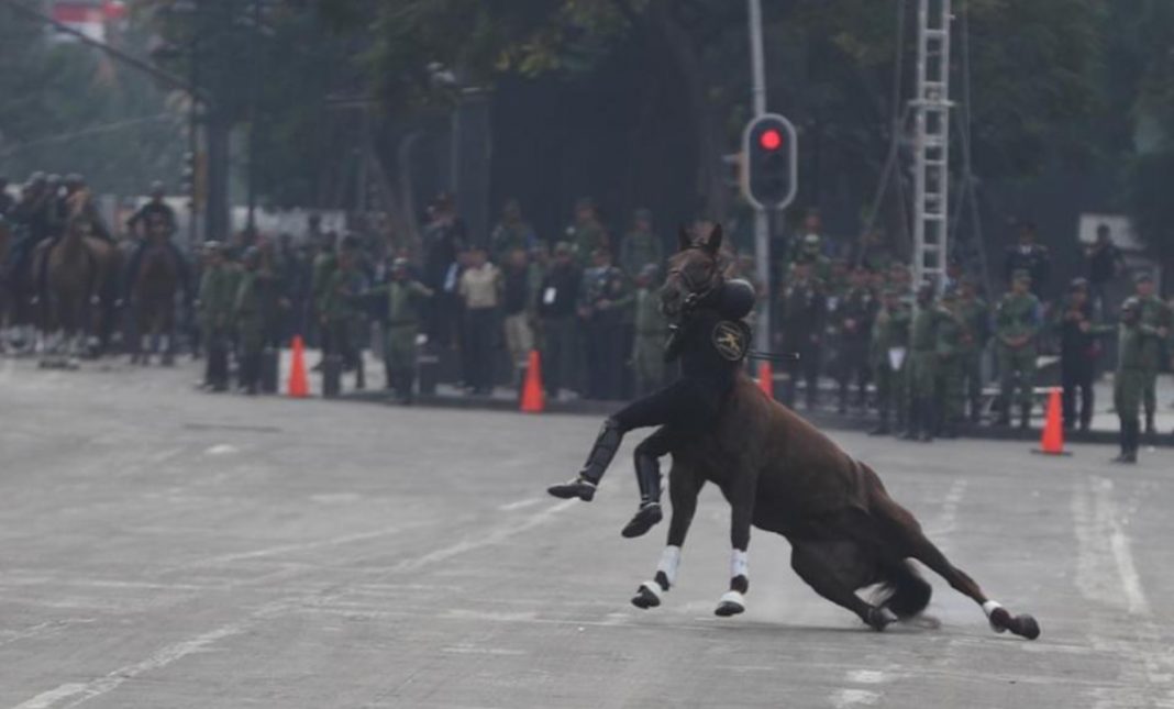 La estrepitosa caída de un jinete y su caballo tras riesgosa maniobra en desfile en el Zócalo