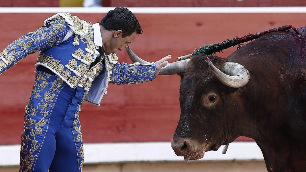 PETA exhibe video de matador apuñalando a un toro en la cabeza