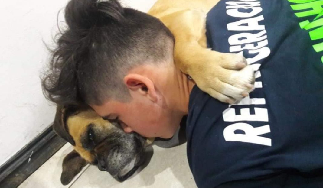 Perrita con pánico a la pirotecnia muere en los brazos de su dueño