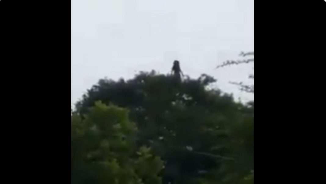 ¿La Llorona fue captada en Colombia? Terrorífico video