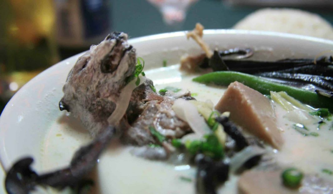 Esta es la sopa de murciélago que estaría vinculada al coronavirus