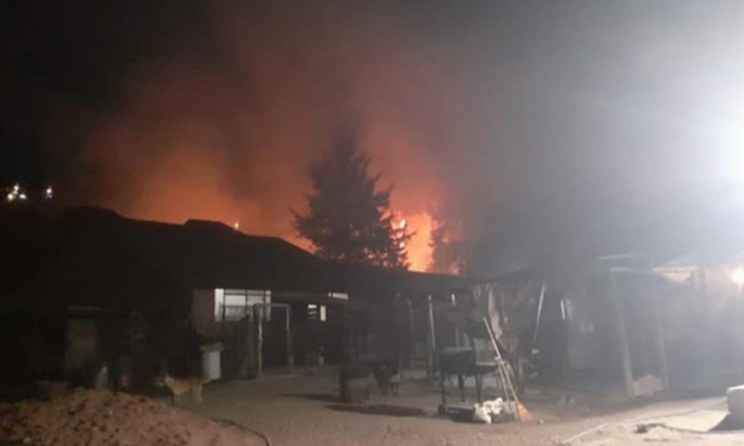Incendian refugio de perros y gatos en Chalco ¡por quinta ocasión!