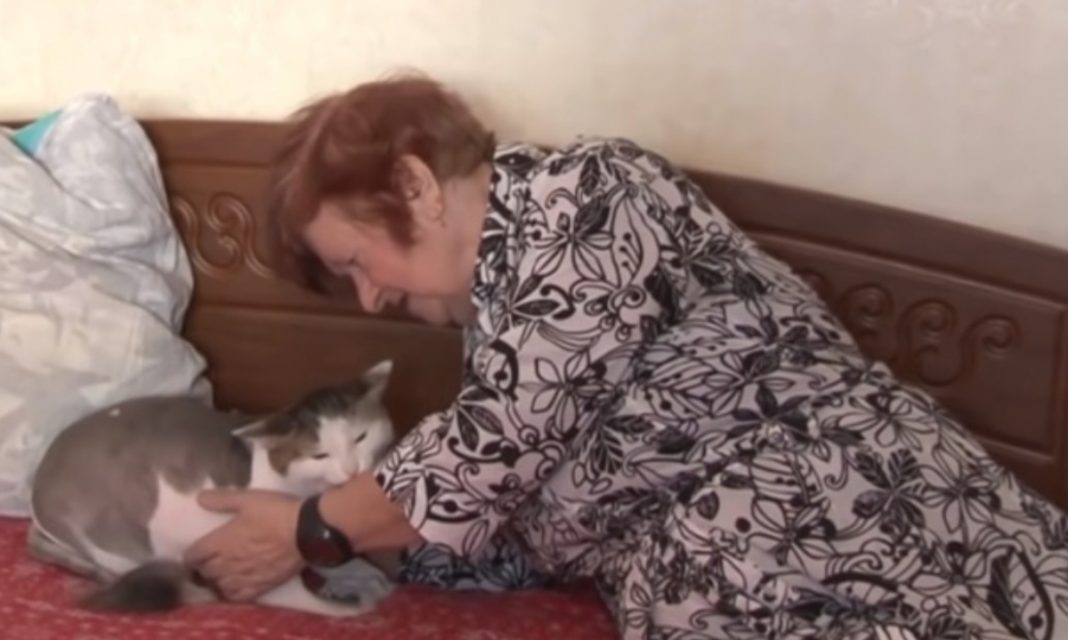 Gato salva a abuelita de morir en incendio ¡Qué hermosura!