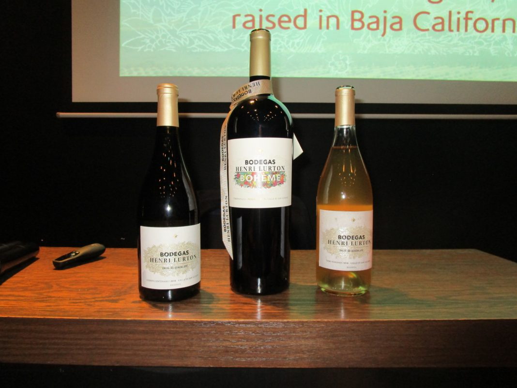Bodegas Henri Lurton, Valle de Guadalupe
