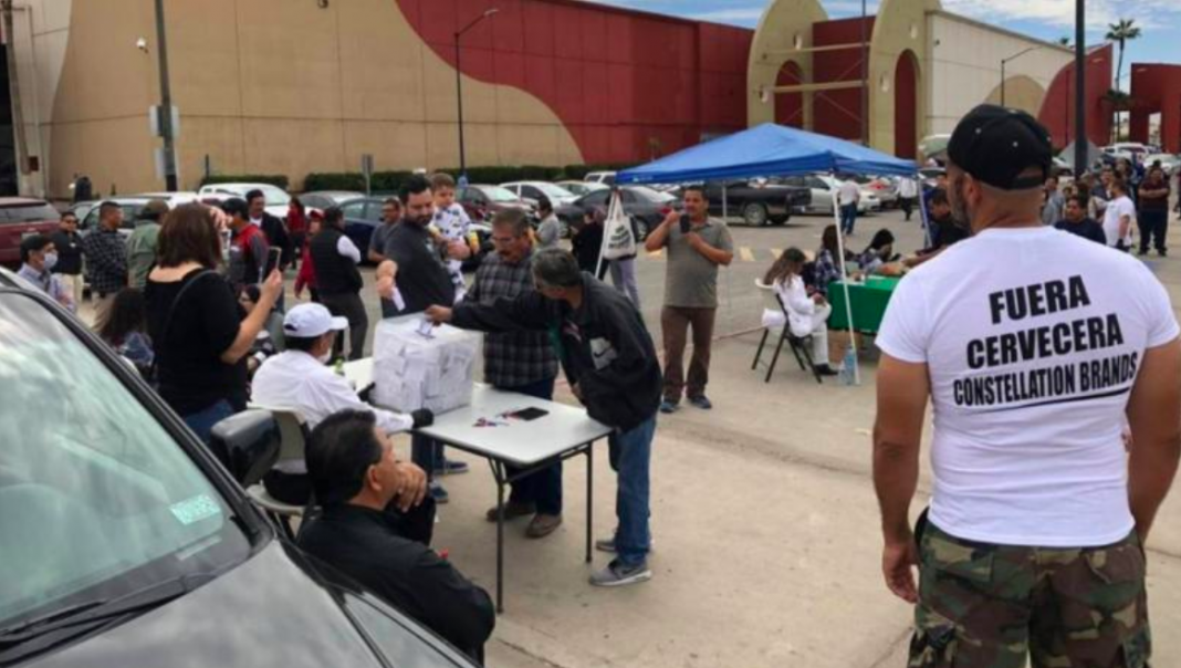 Consulta dice ‘No’ a planta cervecera en Mexicali