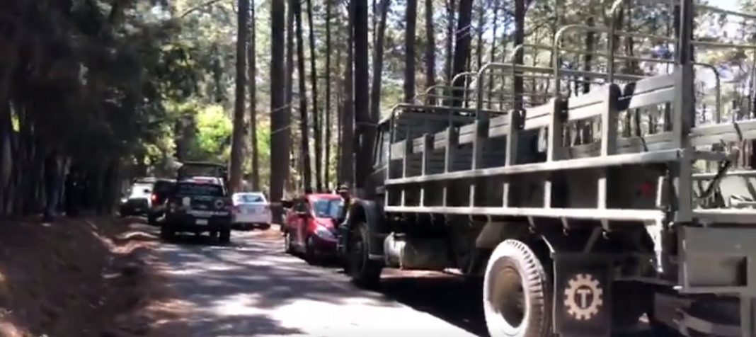 Reportan a león suelto en Valle de Bravo