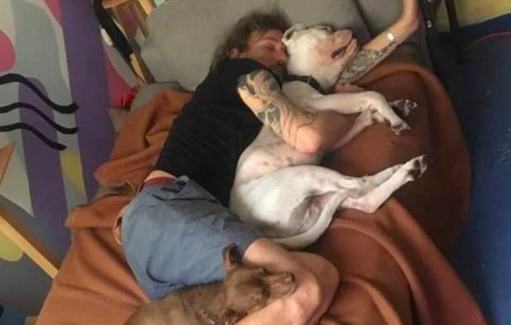 Mure el actor Pablo Fustec, tras intentar salvar a su perrita