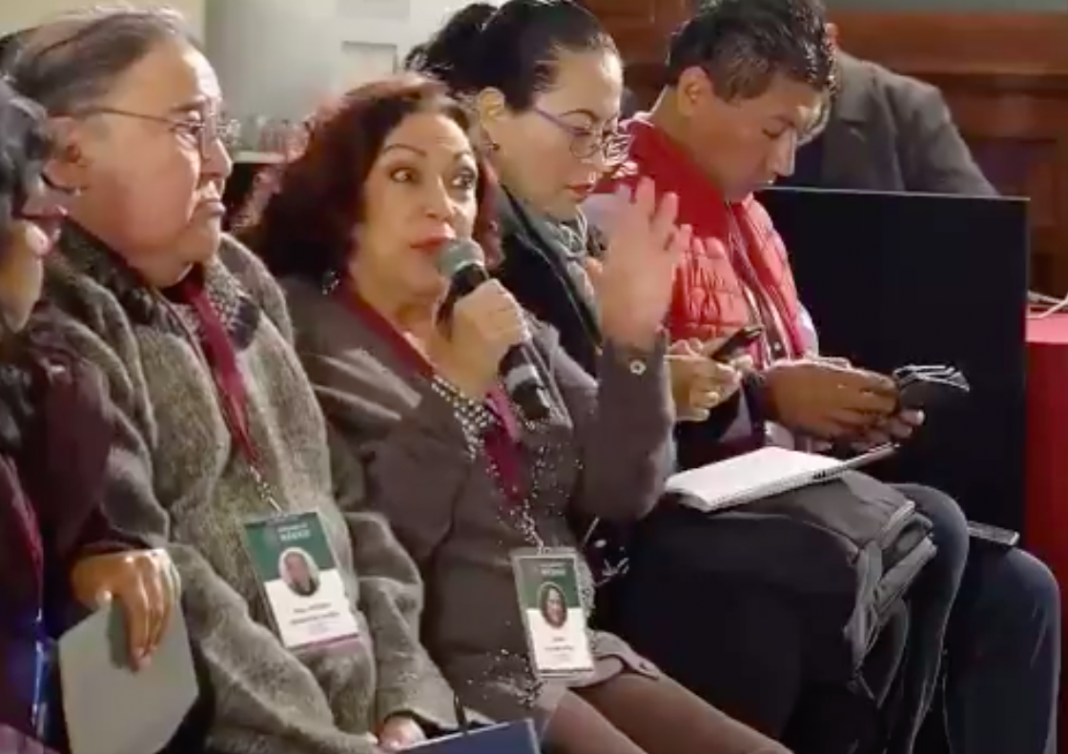 Consulado de México en Estambul va para periodista Isabel Arvide