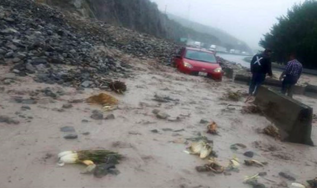 Niña sobrevive Hanna, ¡se aferró por horas a tronco de árbol!