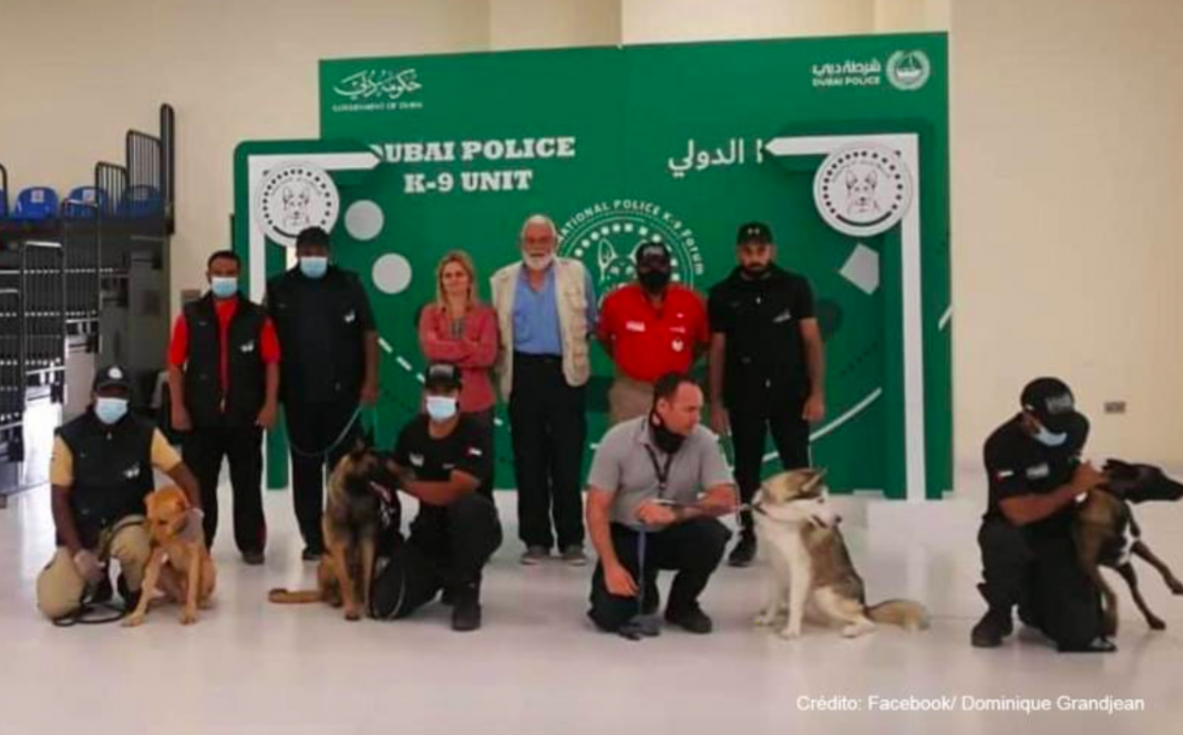 ¿¡Perros entrenados para detectar COVID-19!?