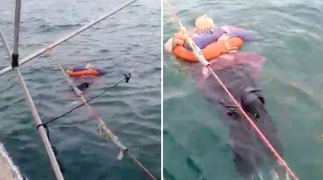 Rescatan flotando en el mar a mujer desaparecida por 2 años