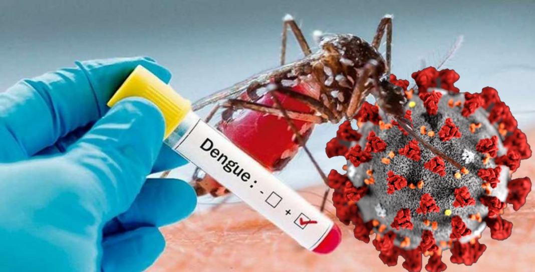 Pacientes recuperados de dengue tienen cierta inmunidad a COVID-19: estudio