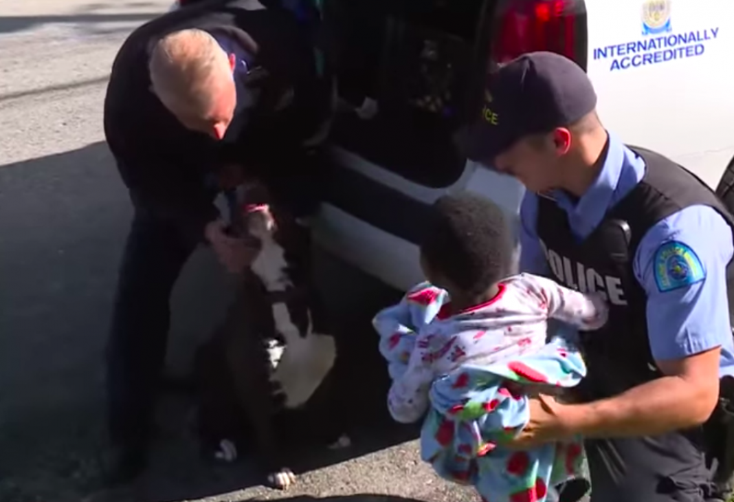 Lomito callejero cuida a niño extraviado hasta reencuentro con familia