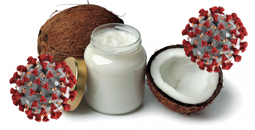 Aceite de coco virgen podría ser útil contra el coronavirus: estudio