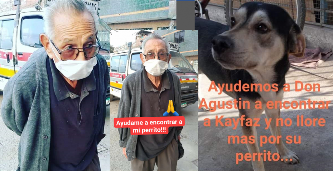 Abuelito de 84 años recorre las calles en busca de su perrito