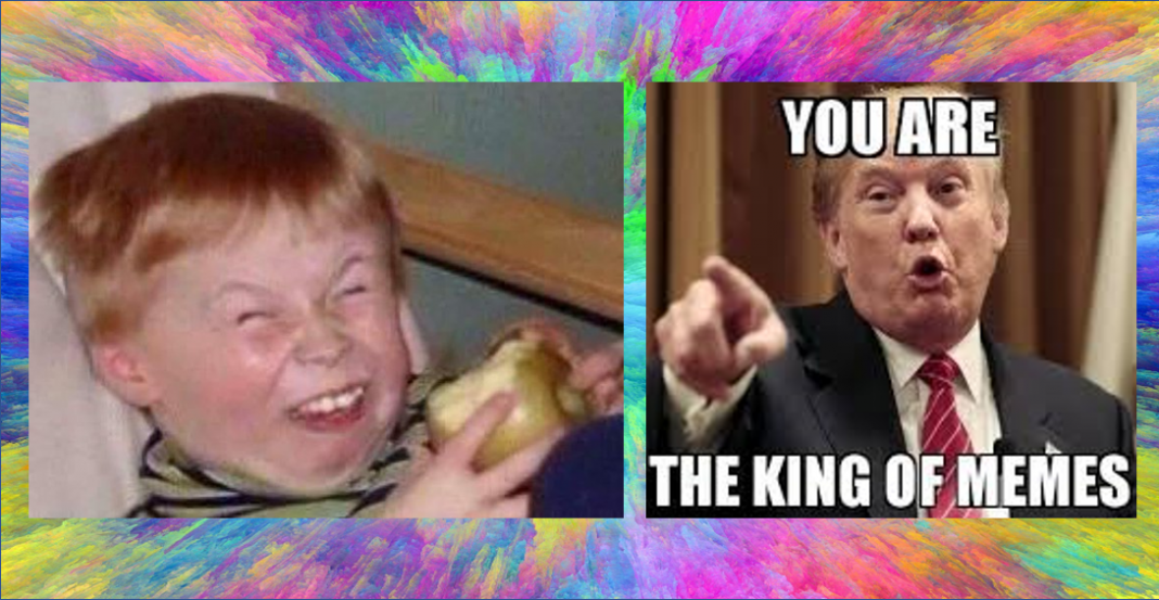 Empresa ofrece 190,000 pesos por 15 días ¡viendo memes estúpidos!