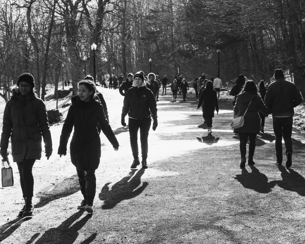 Descubren nuevos genes vinculados al autismo