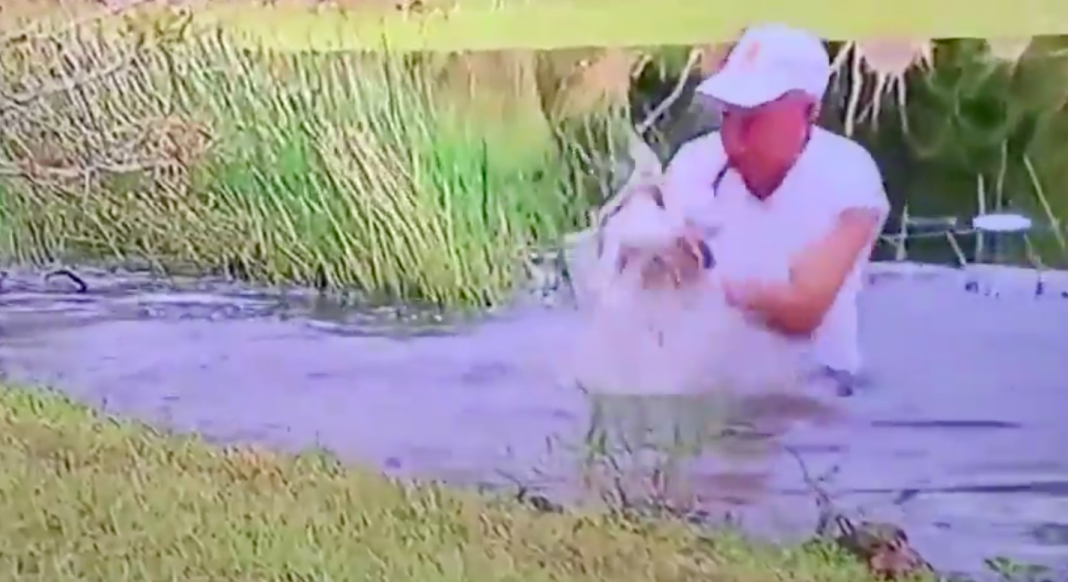 Salva a su cachorro de ataque de cocodrilo