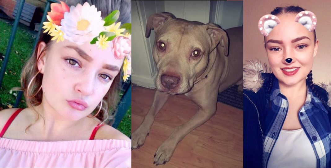 Muere tras ser atacada por perro