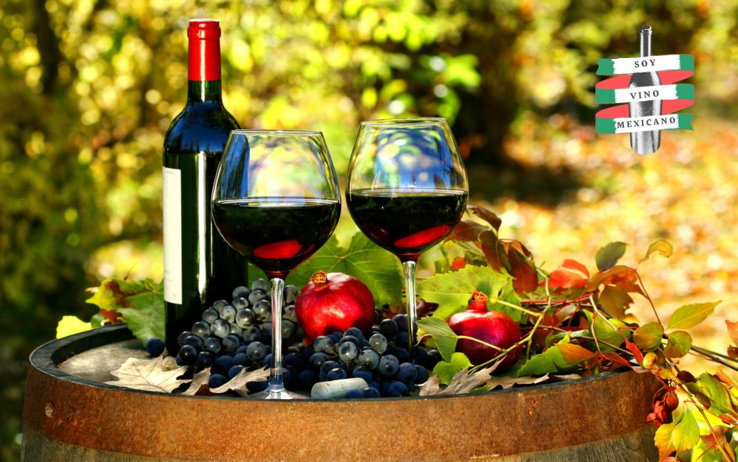 Vinos mexicanos que tienes que probar este 2021