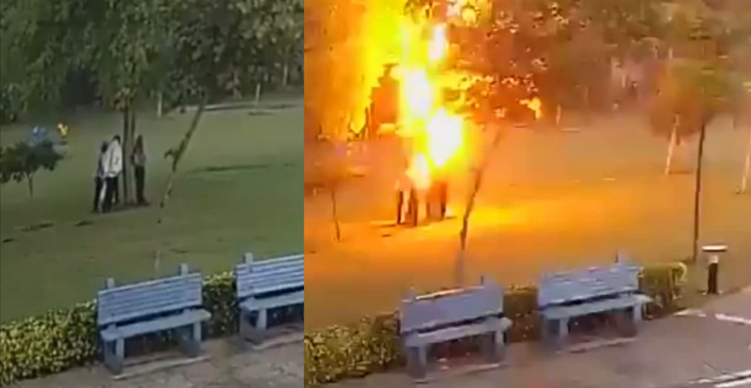 Por esto jamás debes poner bajo un árbol cuando llueve